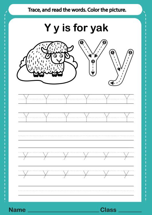 Çizgi Çalışmaları