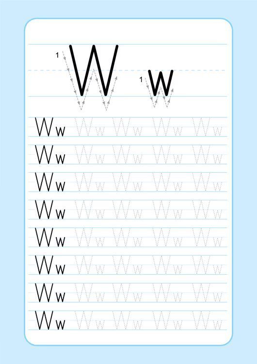 Çizgi Çalışmaları