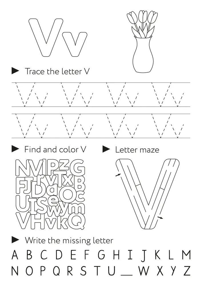 Çizgi Çalışmaları