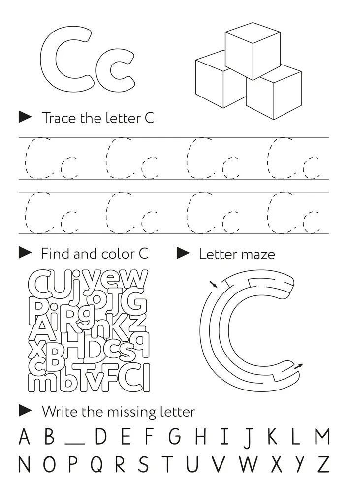Çizgi Çalışmaları