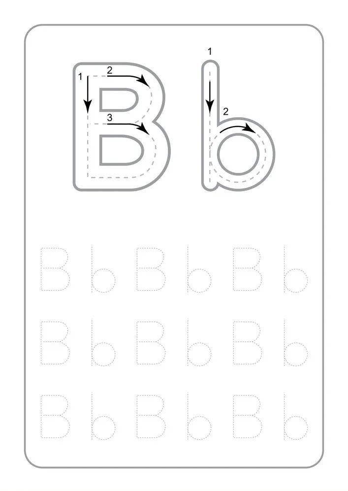 Çizgi Çalışmaları