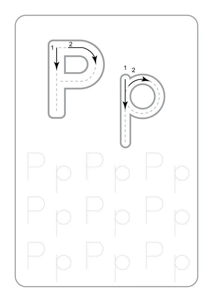 Çizgi Çalışmaları