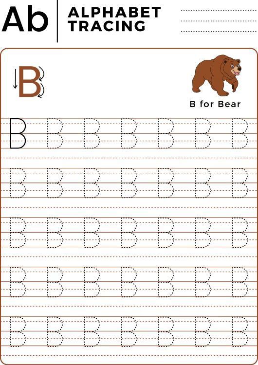 Çizgi Çalışmaları