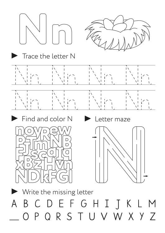 Çizgi Çalışmaları