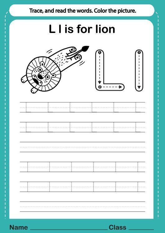 Çizgi Çalışmaları