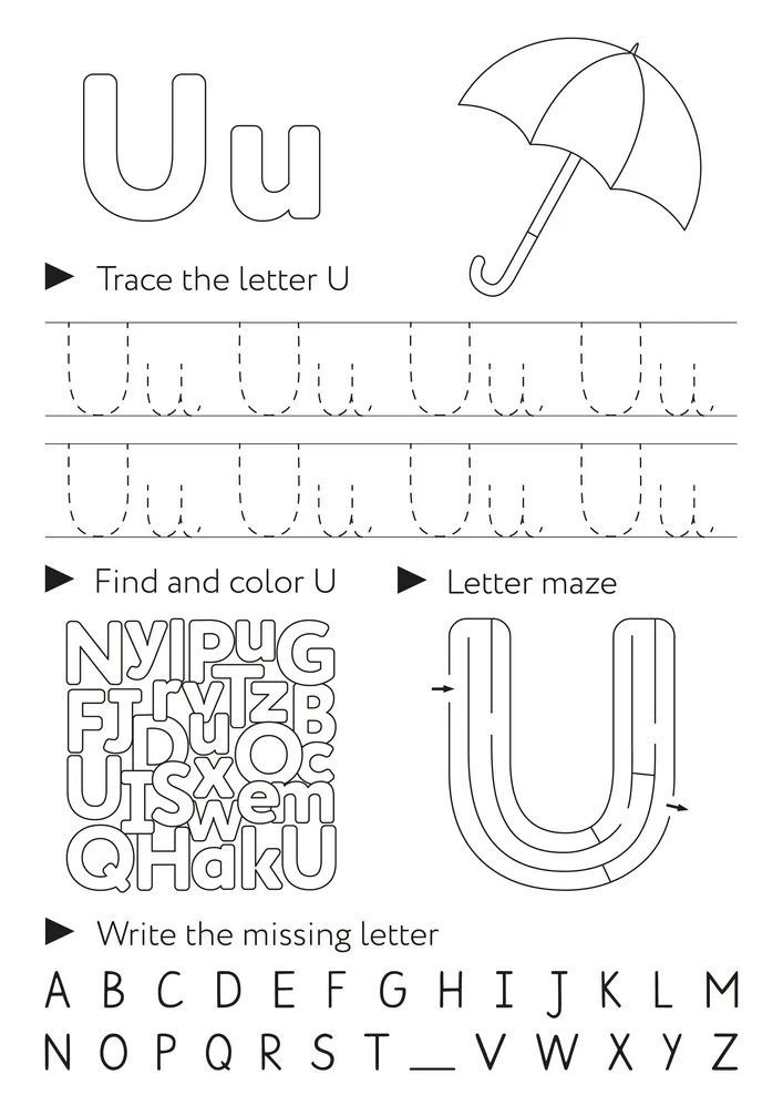 Çizgi Çalışmaları