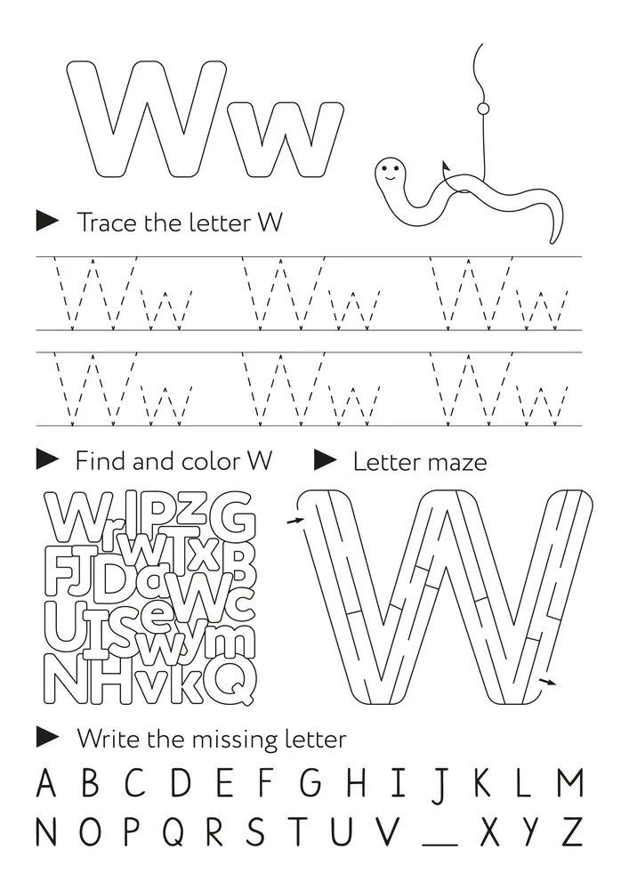 Çizgi Çalışmaları