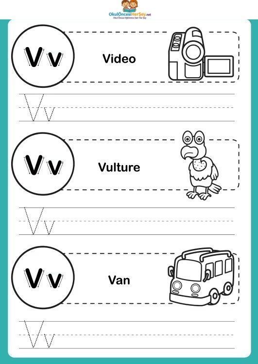 Çizgi Çalışmaları