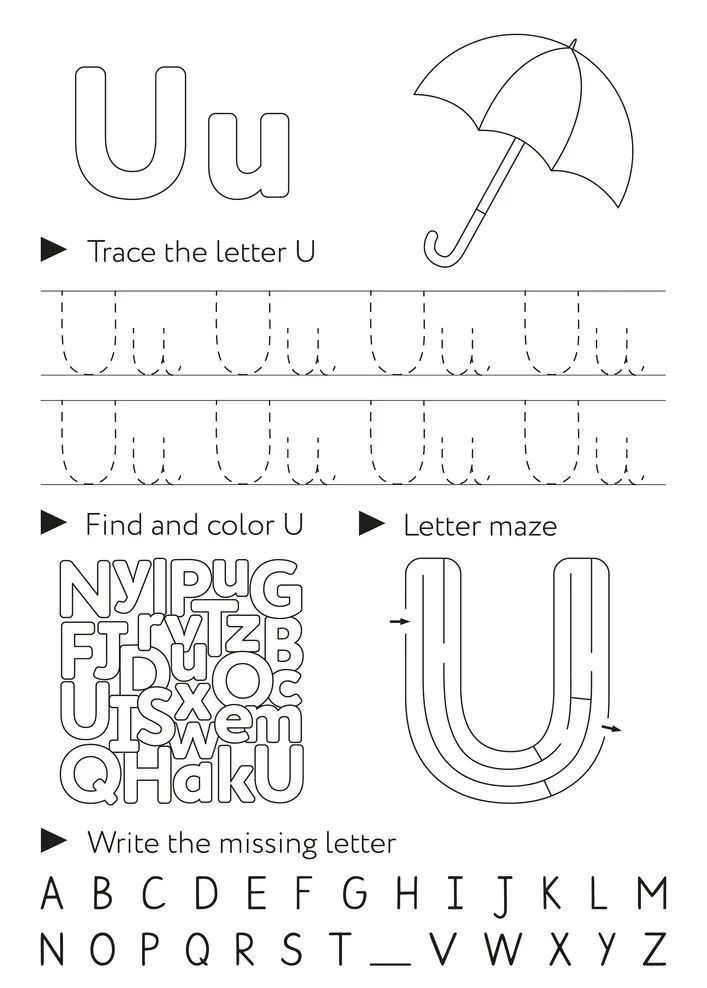 Çizgi Çalışmaları