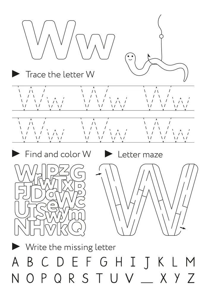 Çizgi Çalışmaları