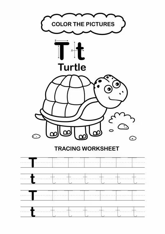 Çizgi Çalışmaları