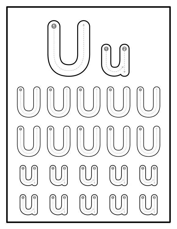 Çizgi Çalışmaları