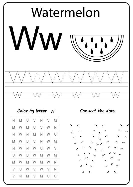 Çizgi Çalışmaları