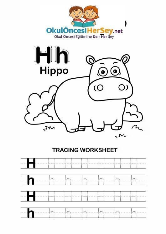 Çizgi Çalışmaları