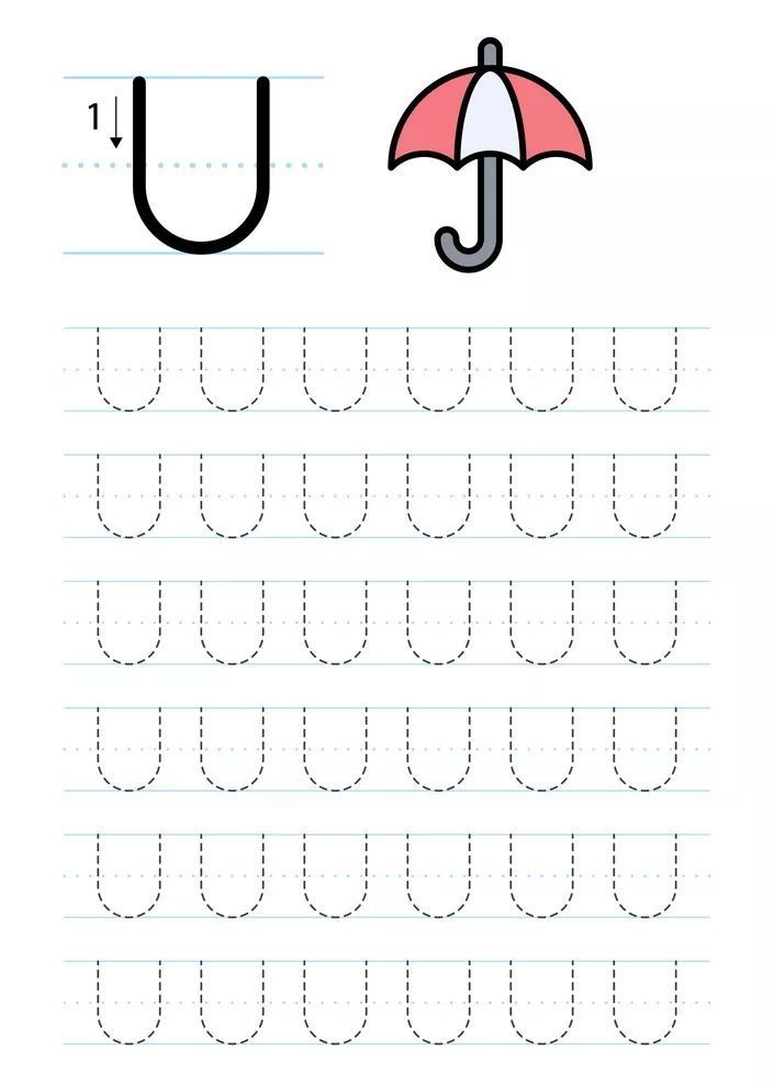 Çizgi Çalışmaları