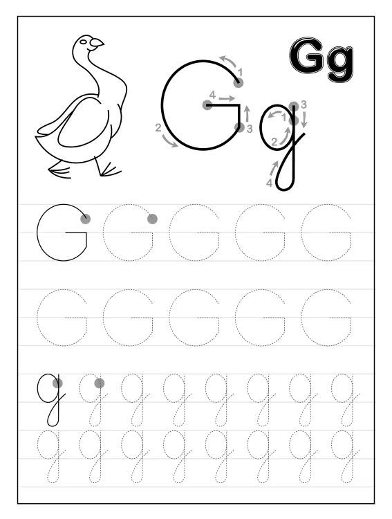 Çizgi Çalışmaları