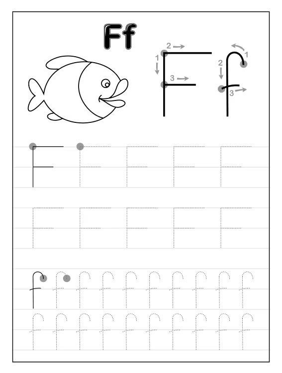 Çizgi Çalışmaları