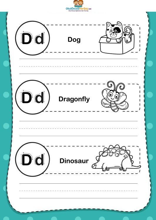 Çizgi Çalışmaları