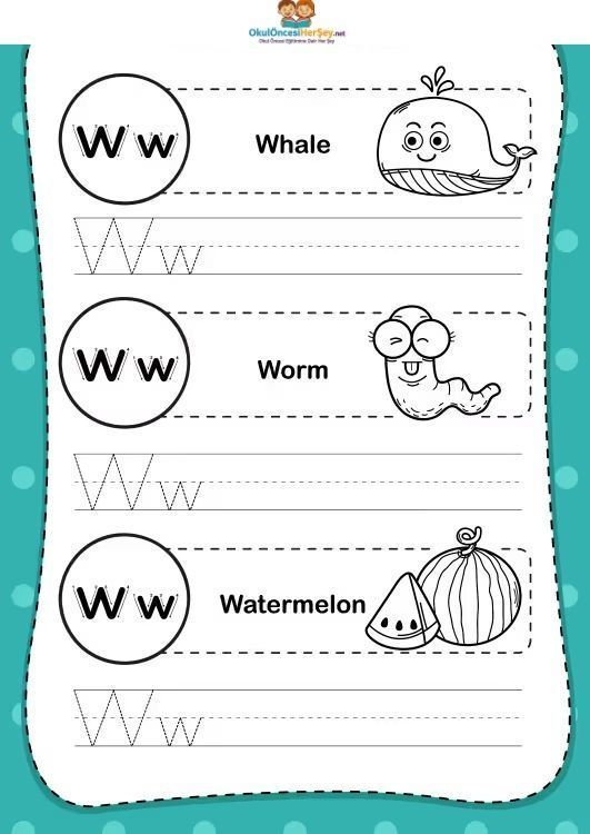 Çizgi Çalışmaları