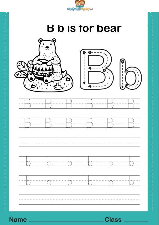 Çizgi Çalışmaları