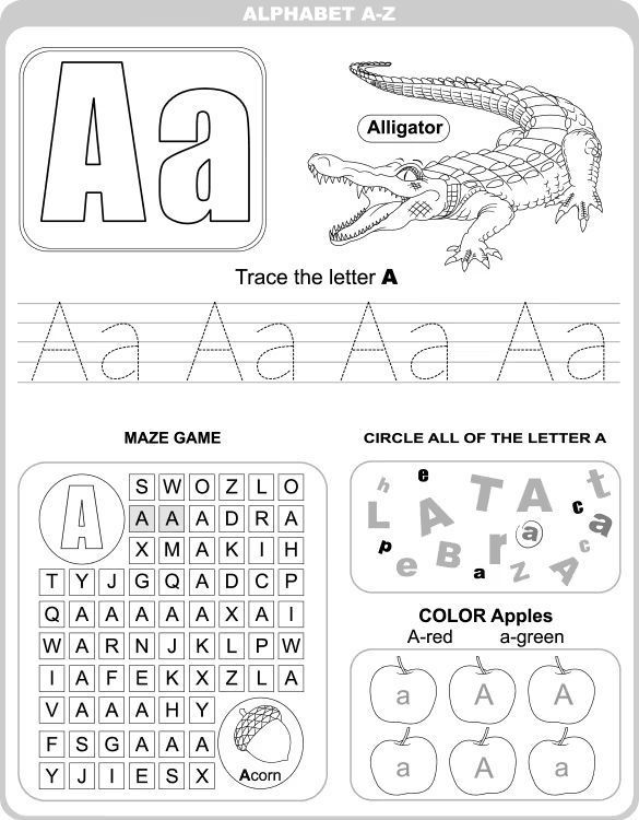 Çizgi Çalışmaları