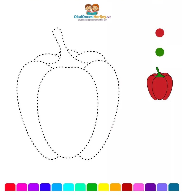 Çizgi Çalışmaları