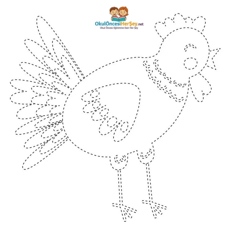 Çizgi Çalışmaları