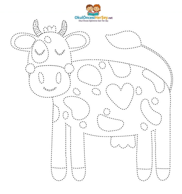 Çizgi Çalışmaları