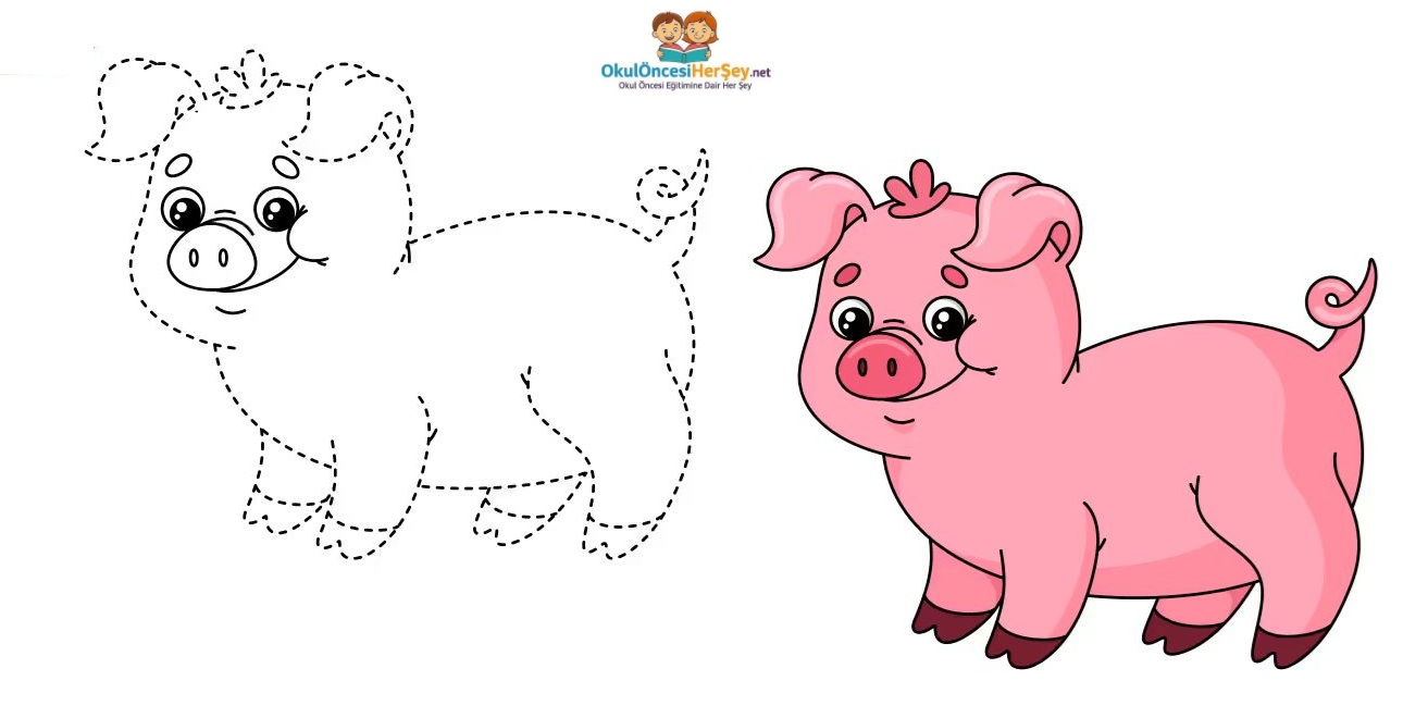 Çizgi Çalışmaları