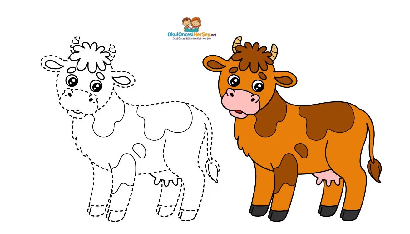 Çizgi Çalışmaları