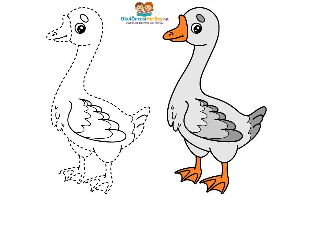 Çizgi Çalışmaları