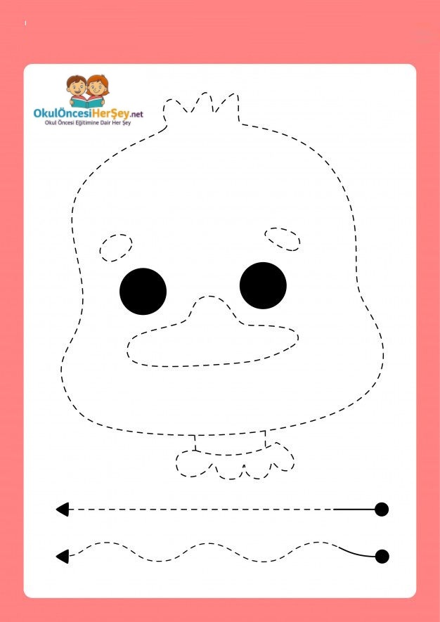 Çizgi Çalışmaları