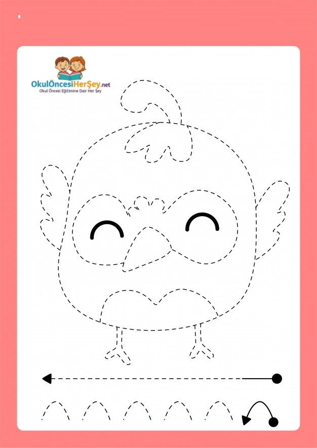 Çizgi Çalışmaları