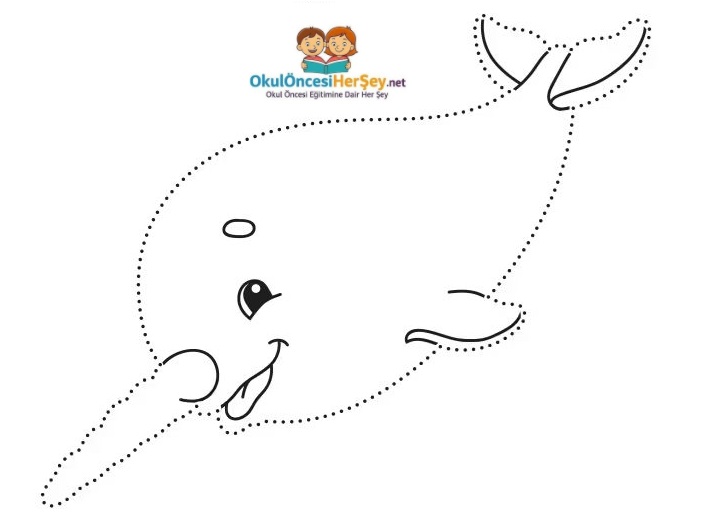 Çizgi Çalışmaları