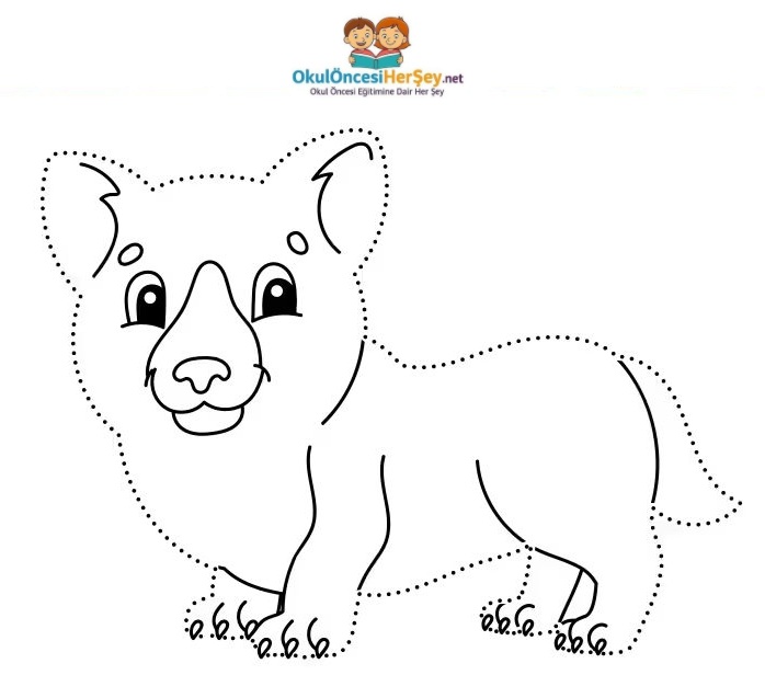 Çizgi Çalışmaları