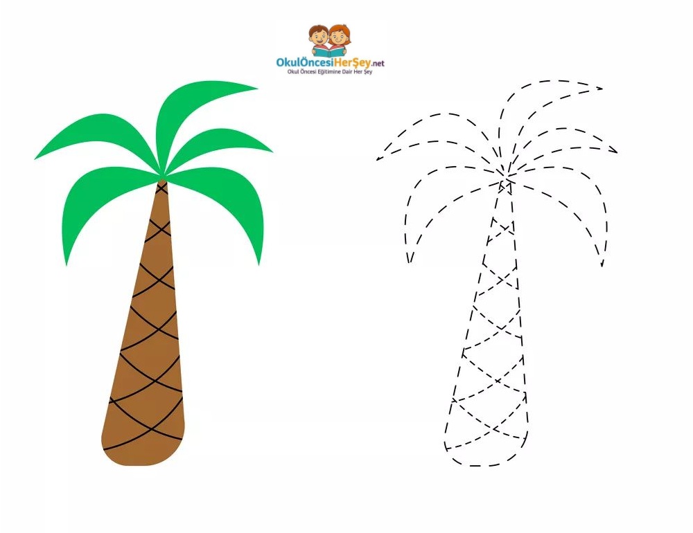 Çizgi Çalışmaları