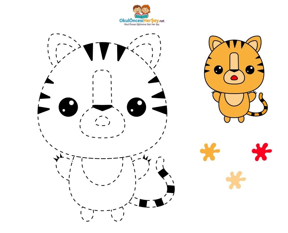 Çizgi Çalışmaları