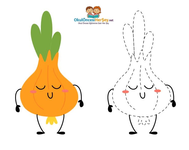 Çizgi Çalışmaları