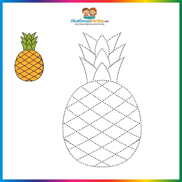 Çizgi Çalışmaları