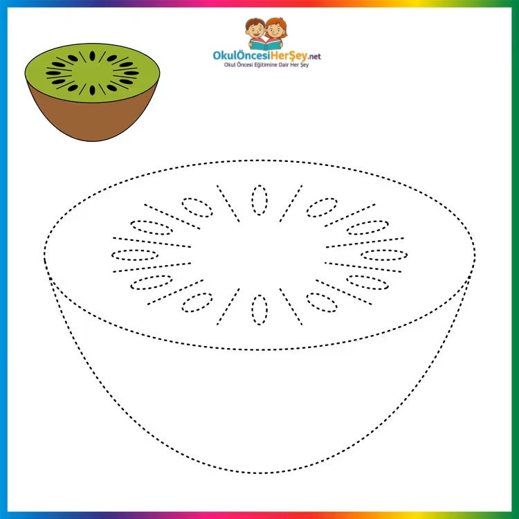 Çizgi Çalışmaları