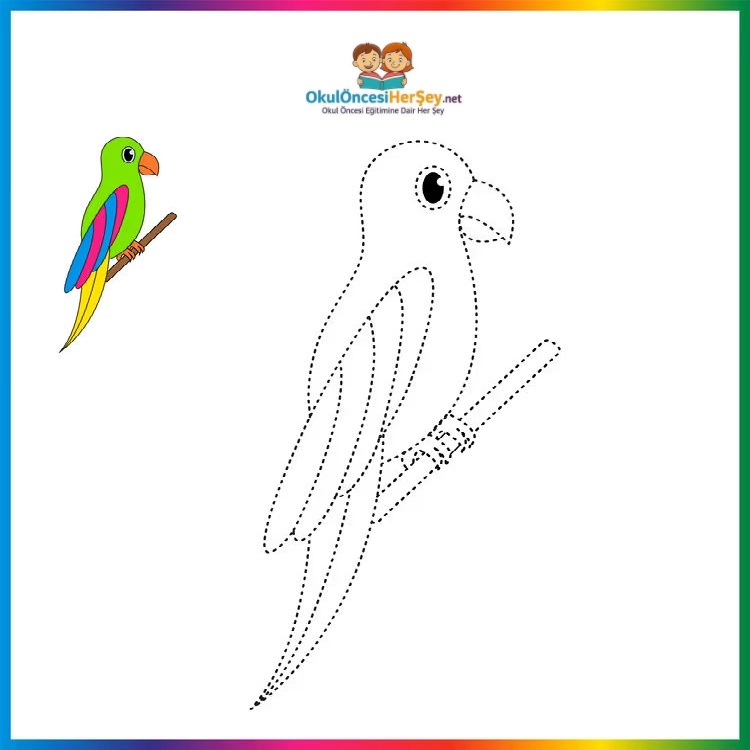 Çizgi Çalışmaları