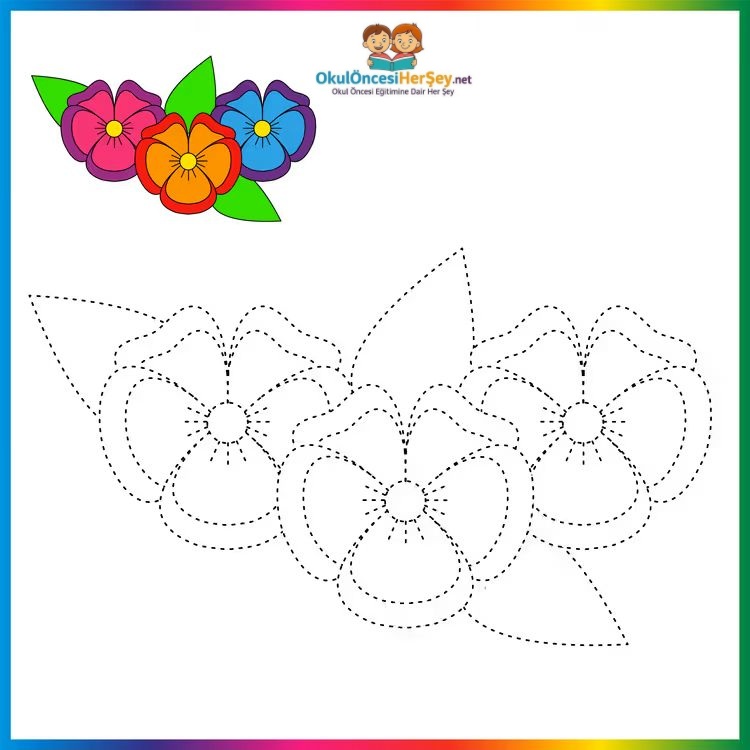 Çizgi Çalışmaları