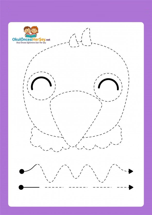 Çizgi Çalışmaları