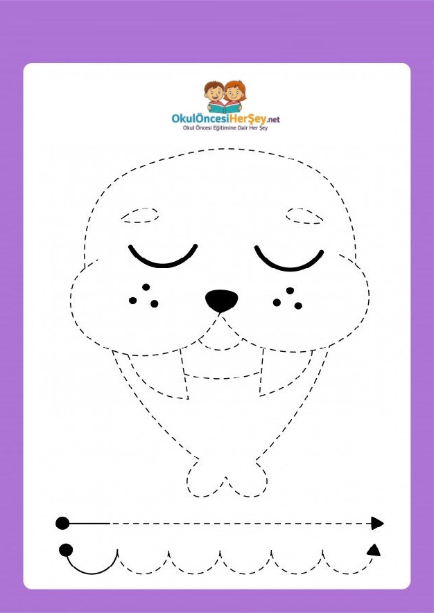 Çizgi Çalışmaları