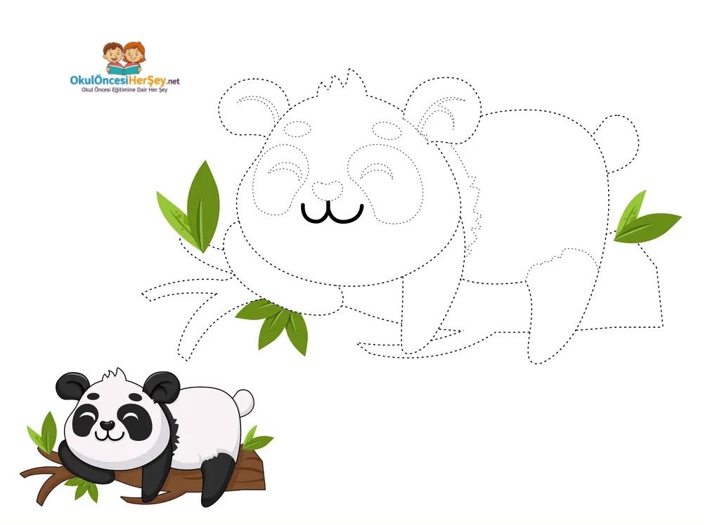 Çizgi Çalışmaları