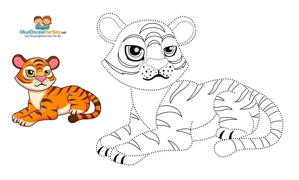 Çizgi Çalışmaları