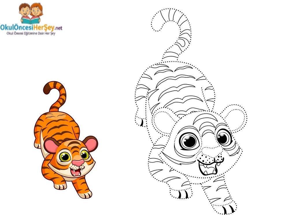 Çizgi Çalışmaları