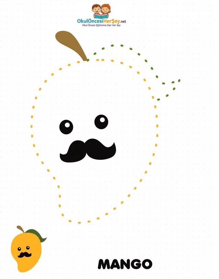 Çizgi Çalışmaları