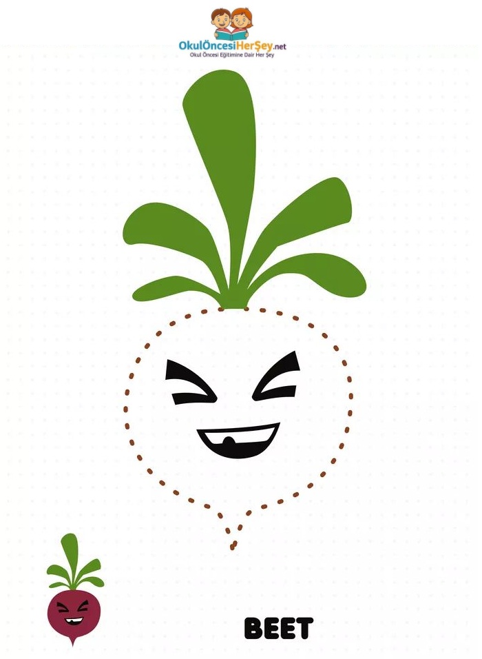 Çizgi Çalışmaları