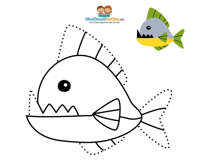 Çizgi Çalışmaları